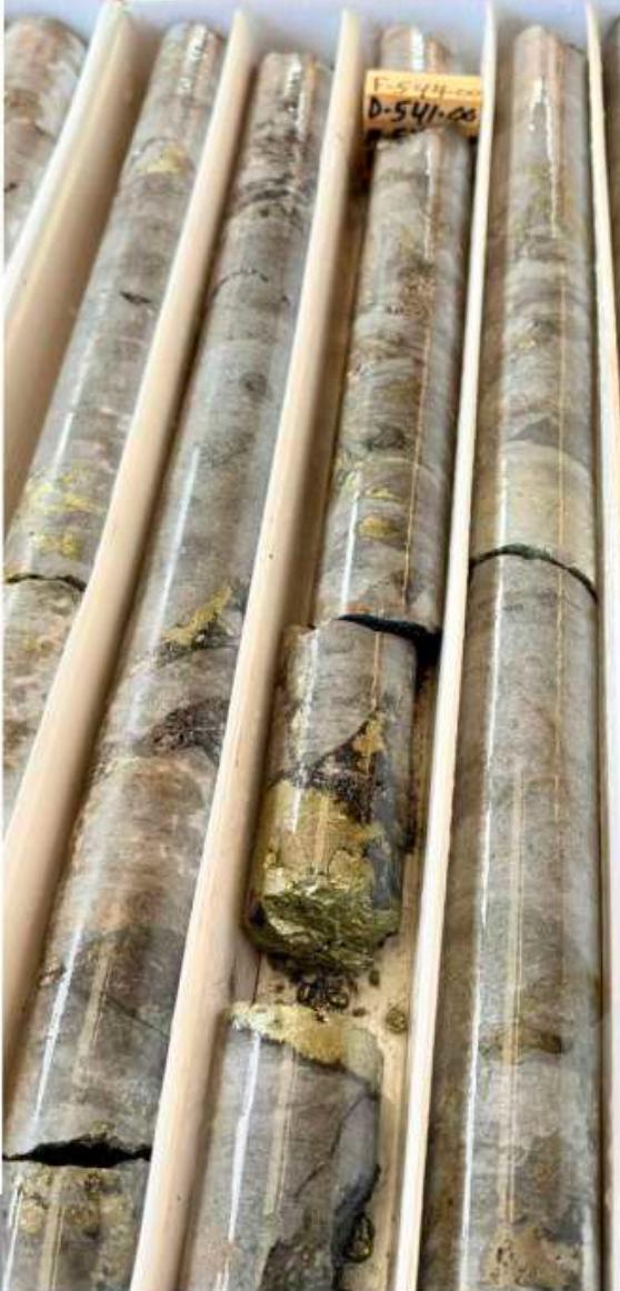 Mineralized drill core from Dios Padre hole 26-35