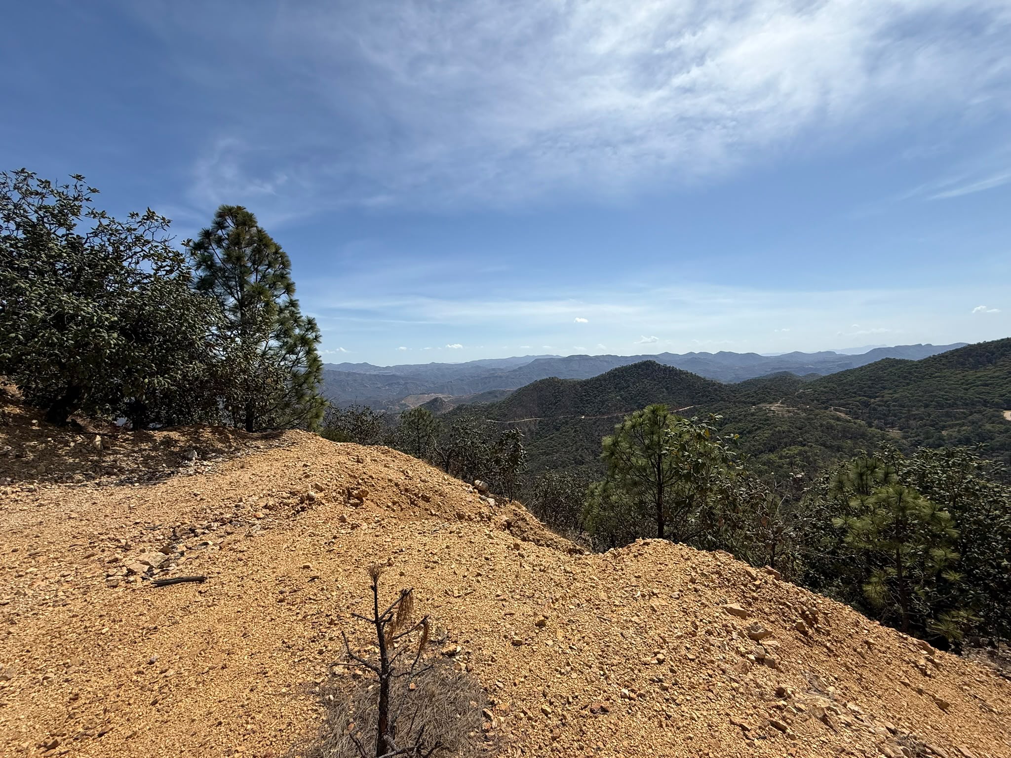 Landscape at the Jabalí project in Sonora